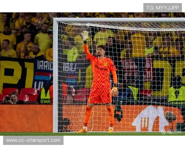 欧洲杯候选名单试探多名新星，老将与新血并举