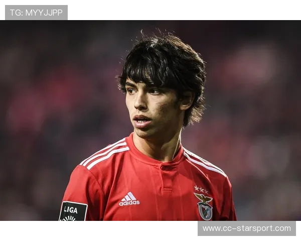 本菲卡球迷盼布兰特加盟，增强球队竞争力，本菲卡著名球员