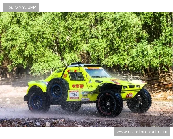 赛车比赛体能监控及表现优化研究 赛车比赛体能监控及表现优化研究