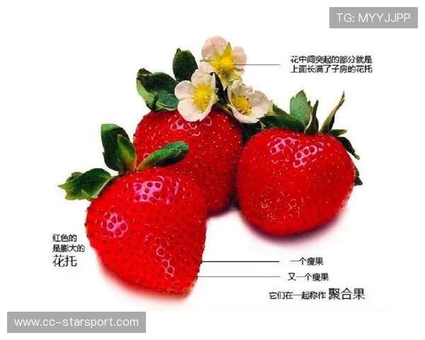 资深选手的发育节奏：他是如何通过资源分配规划自己的发育路线的